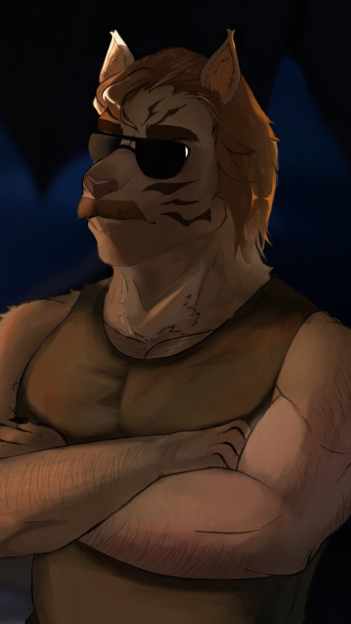 Colorido com Sombreamento